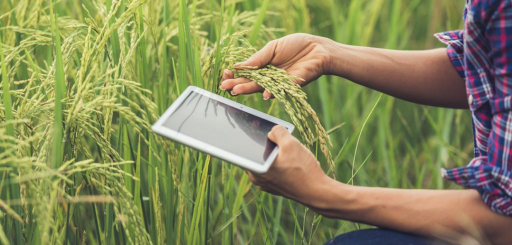 Ashar 15: Best Nepali Agriculture Apps for Successful Farming in 2020 Best Agricultural Apps