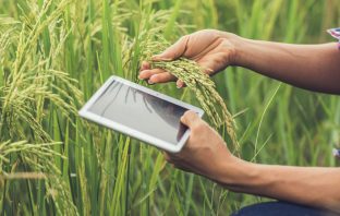Top 3 Apps for Nepali Farmers/Agriculture in 2019 Best Agricultural Apps