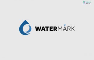 Watermark: Water Bill Payment Solution for Governing Bodies