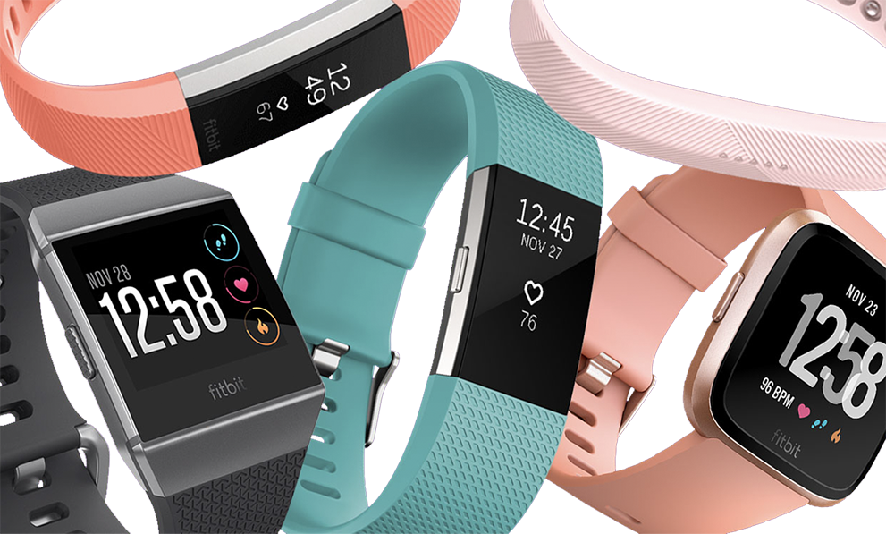 fitbit wholesale distributors