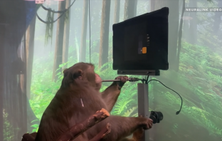 Neuralink Reveals Monkey playing Pong with its Brain-Machine Interface