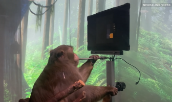 Neuralink Reveals Monkey playing Pong with its Brain-Machine Interface 1