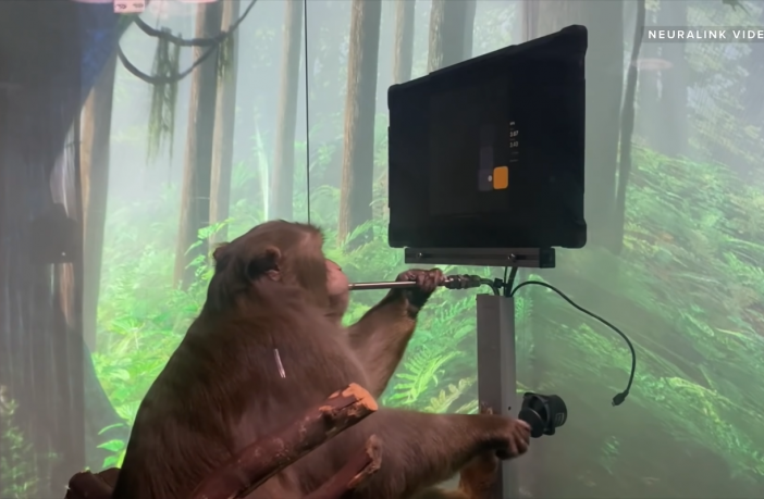 Neuralink Reveals Monkey playing Pong with its Brain-Machine Interface 1