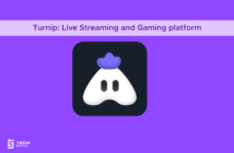 Turnip: An Indian game live streaming and gaming community platform 2
