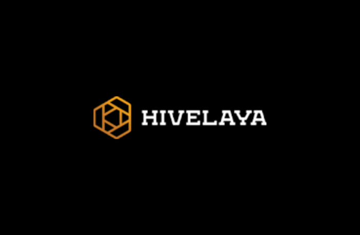 Hivelaya: A Native E-learning Platform Connecting Learners and Experts 1