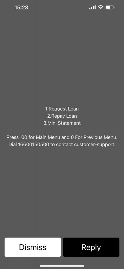 Digital Lending in NamastePay