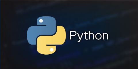 earn money with python programming