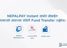 NEPALPAY Instant: Send money directly through your mobile number under this interoperable VPA Based Transaction