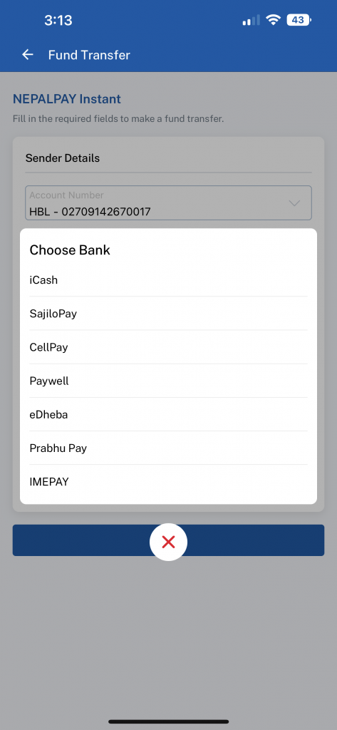 NEPALPAY Instant
