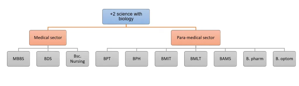 What to Study After +2 Science with Biology?