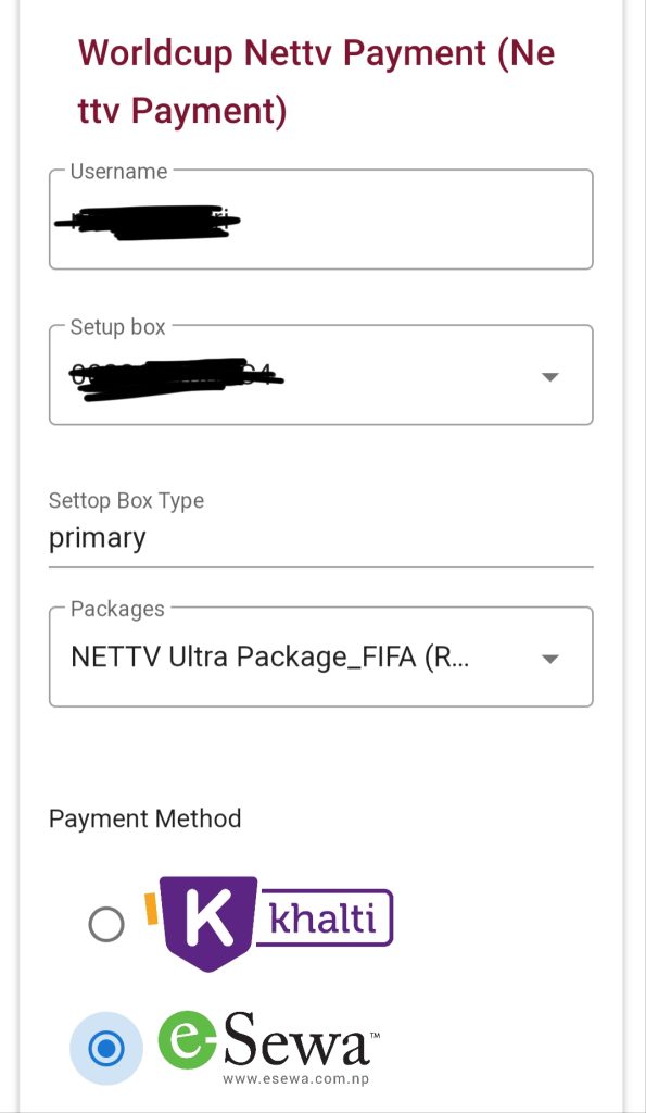 How to Pay for FIFA World Cup 2022 Package Digitally? 11