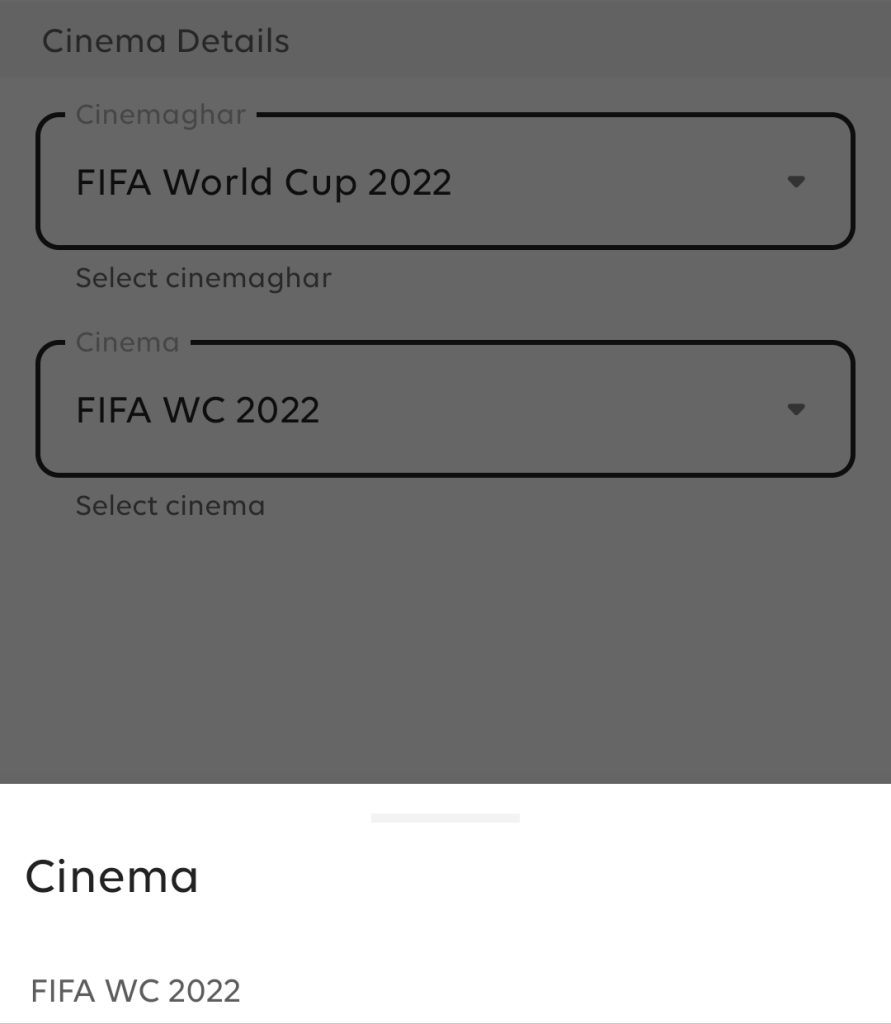 How to Pay for FIFA World Cup 2022 Package Digitally? 14