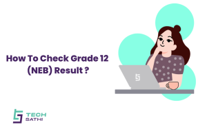 Grade 12 (NEB) Result